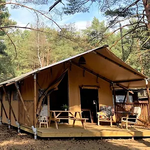 Camp Bursztynowy Kemping